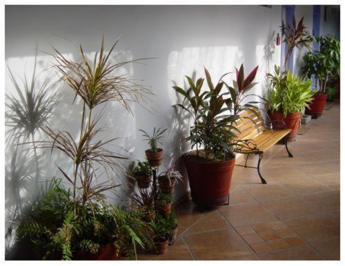 Suitel 522 Eco Hostel 마사틀란 외부 사진
