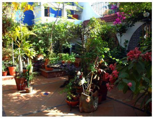 Suitel 522 Eco Hostel 마사틀란 외부 사진