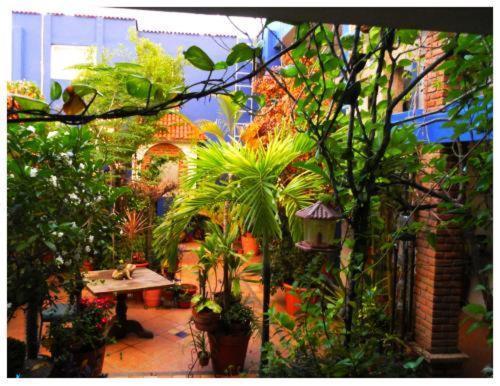 Suitel 522 Eco Hostel 마사틀란 외부 사진