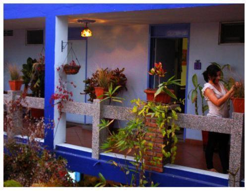 Suitel 522 Eco Hostel 마사틀란 외부 사진